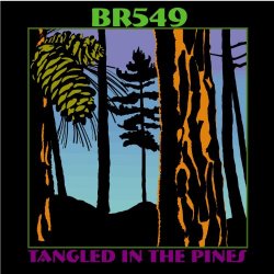 BR549 - Tangled In The Pines