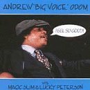 Feel So Good by Andrew "Big Voice" Odom