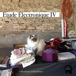 Etude Electronique IV - Etude Electronique IV - A French Way of Deep House