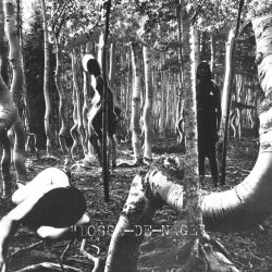 Bosse-de - Bosse-de-Nage