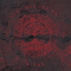 Set Before Us - Vitae