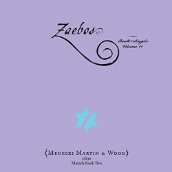 Medeski Martin & Wood - Book of Angels: Zaebos, Vol. 11