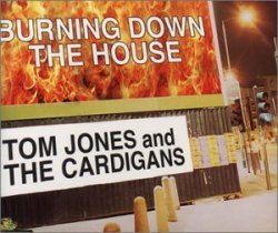 01 Tom Jones & The Cardigans - Burning Down the House [CD 1] by Tom & The Cardigans Jones (1999-01-01)