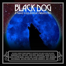 Tribute to Led Zeppelins - Black Dog [Import allemand]