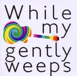 Various - While my guitar gently weeps - Beatles Songs By Various (2010-04-01)