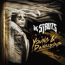 Struts, The - Young&Dangerous