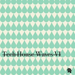 Various Artists - Tech House Waves 6