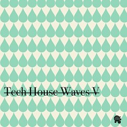 Various Artists - Tech House Waves 5