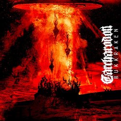 Carcharodon - Whalefucker