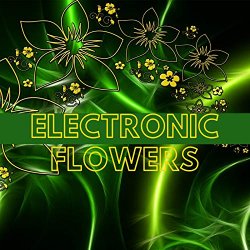 Dj Troya - Magic Fly