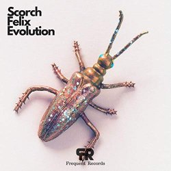 Scorch Felix - Evolution (Original Mix)