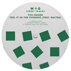9th House feat - Feel it In The Evening (feat. Baltra)