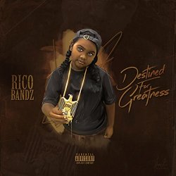 RICO BANDZ - Destined for Greatness [Explicit]