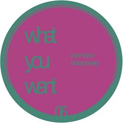 Ray Mono - Horizons EP