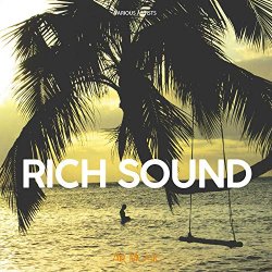 Various Artists - Rich Sound