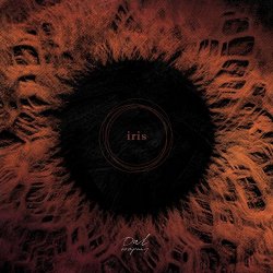 Owl Company - Iris