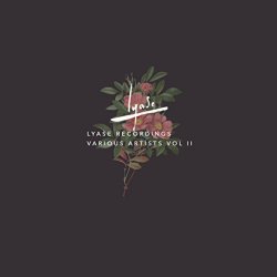 DJ Volume - What are You Doin