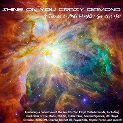 Various Artists - Shine On You Crazy Diamond: A Tribute To Pink Floyd's Greatest Hits