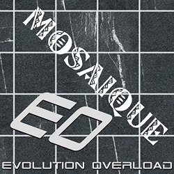 Evolution Overload - Mosaique (Luna Minds Remix)