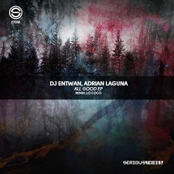 DJ Entwan and Adrian Laguna - What you Say