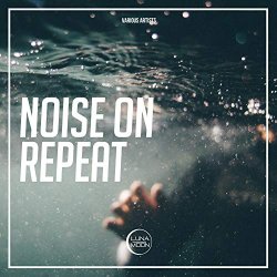 Various Artists - Noise On Repeat