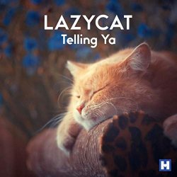 Lazycat - Telling Ya (Rock Da House Mix)