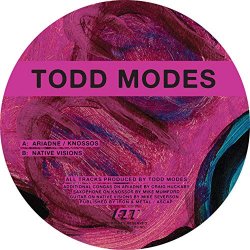 Todd Modes - Native Visions