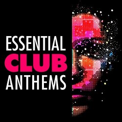 Tori Amos - Professional Widow