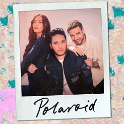 , Liam Payne & Lennon Stella - Polaroid