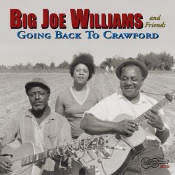 Big Joe Williams & Friends - My Baby Stopped Drinking Water