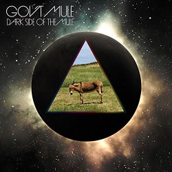 Gov't Mule - Wish You Were Here