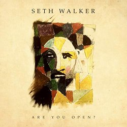 Seth Walker - Hard Road