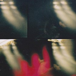 Forest Walker - U.V. Sea