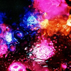 Chihei Hatakeyama - You're Still In It