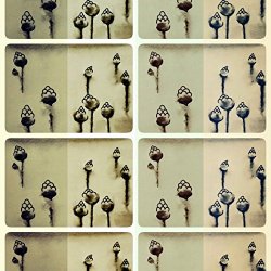 ears on the trees, The - New Beginnings