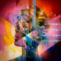 Pink - Hurts 2B Human [Explicit]