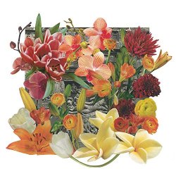 Mike Baggetta and Jim Keltner and Mike Watt - Wall of Flowers
