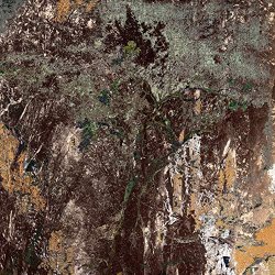 This is Lorelei - The Dirt, The Dancing