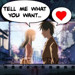 S3RL feat - Tell Me What You Want (feat. Tamika)