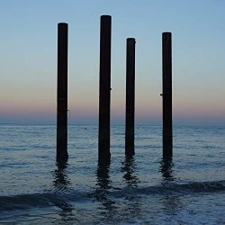Fiona Brice Brother Tree Sound - String Quartet No. 1