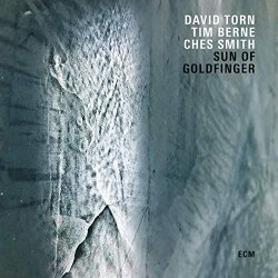 David Torn and Tim Berne and Ches Smith - Sun Of Goldfinger