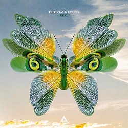 Tritonal And Evalyn - Real