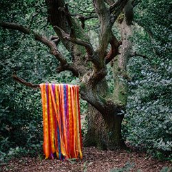 James Holden And The Animal Spirits - The Animal Spirits