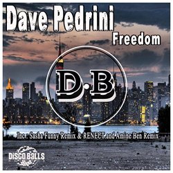 Dave Pedrini - Freedom