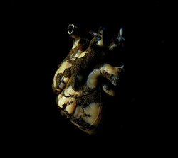 Highasakite - Uranium Heart [Import allemand]