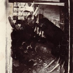 Angie Hosh - Solutions