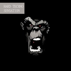   - Hard Techno Sensation