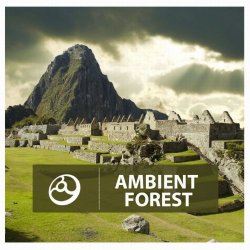 Various Artists - Ambient Forest