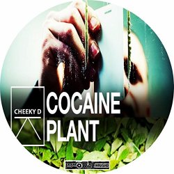 Cheeky D - Cocaine Plant