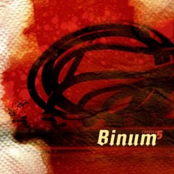 Binum - Chapter Five